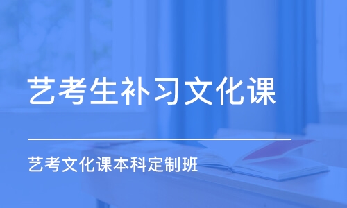 廣州藝考生補(bǔ)習(xí)文化課