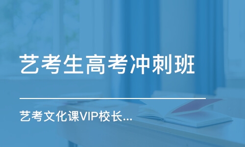 藝考文化課VIP校長班