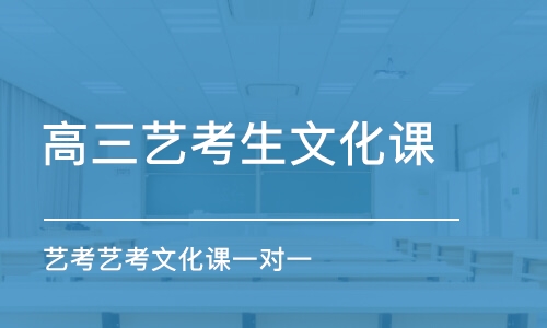 武漢藝考藝考文化課一對一