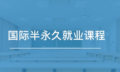 國際半永久就業(yè)課程