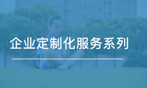 企業(yè)定制化服務系列