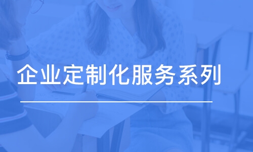 石家莊企業(yè)定制化服務(wù)系列