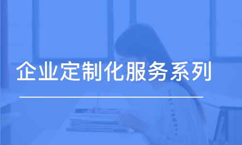 企業(yè)定制化服務系列