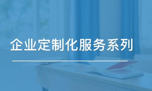 長(zhǎng)沙企業(yè)定制化服務(wù)系列