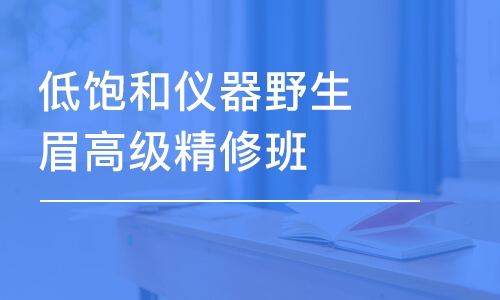 成都低飽和儀器野生眉高級精修班 