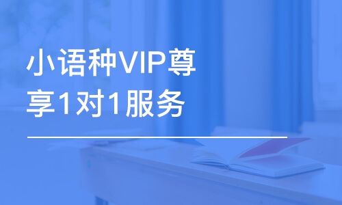 小語種VIP尊享1對1服務