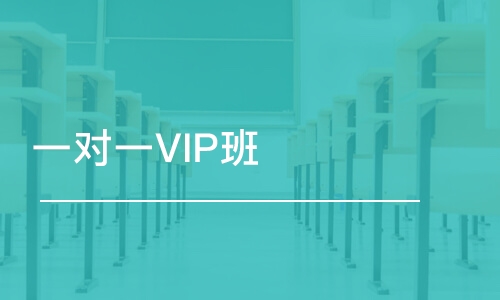 一對一VIP班