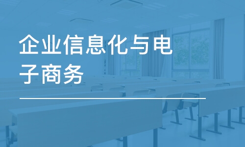 企業(yè)信息化與電子商務(wù)