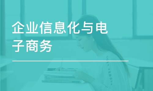 企業(yè)信息化與電子商務(wù)