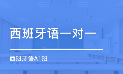 杭州西班牙語(yǔ)一對(duì)一