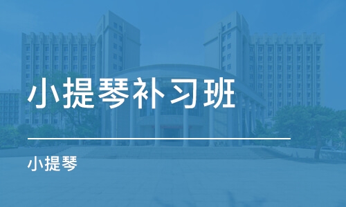 沈阳小提琴补习班