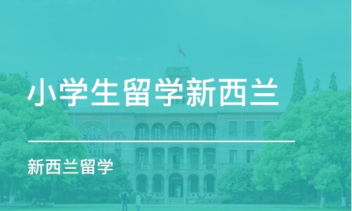 济南小学生留学新西兰