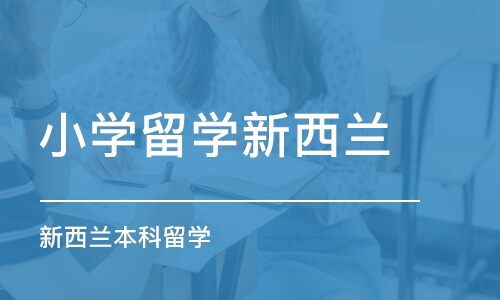 广州小学留学新西兰