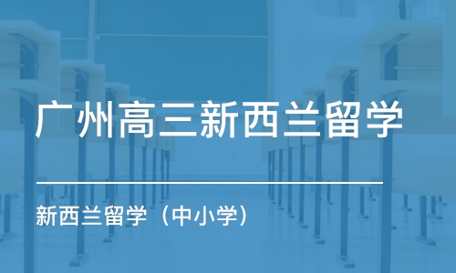 广州高三新西兰留学