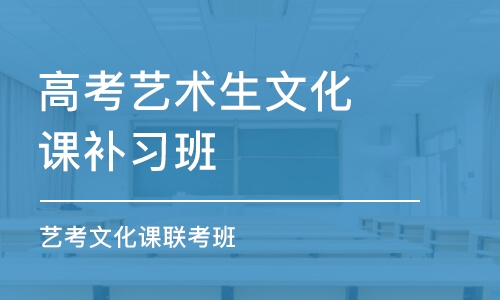 天津高考艺术生文化课补习班