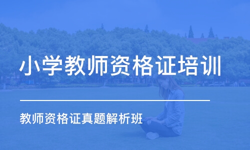 郑州小学教师资格证培训机构