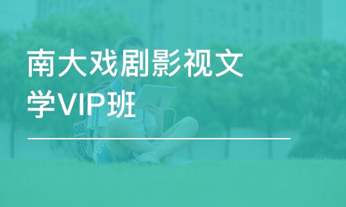 南京南大戏剧影视文学VIP班