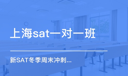 上海sat一对一班