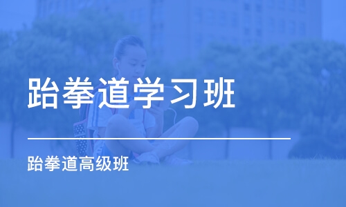 杭州跆拳道学习班