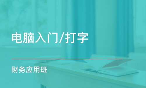 重庆电脑入门/打字