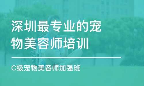 深圳*专业的宠物美容师培训机构