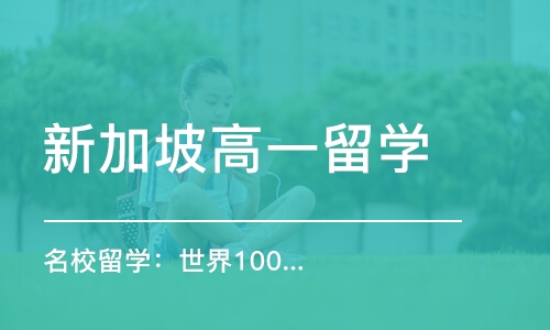 成都新加坡高一留学