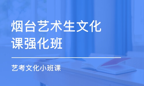 煙臺藝術生文化課強化班