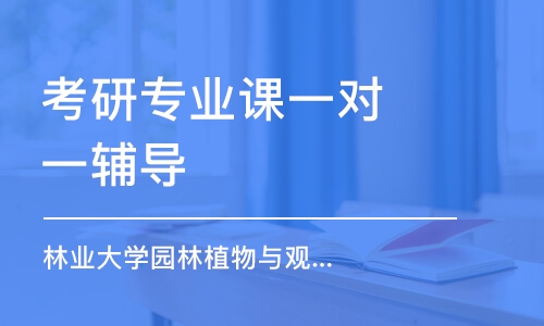 南京考研專業(yè)課一對一輔導