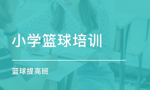 大连小学篮球培训机构