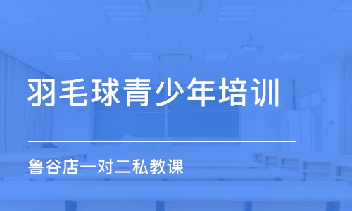 北京羽毛球青少年培訓(xùn)班