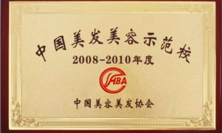 19中國美發(fā)美容示范校2008-2010年度 獎牌