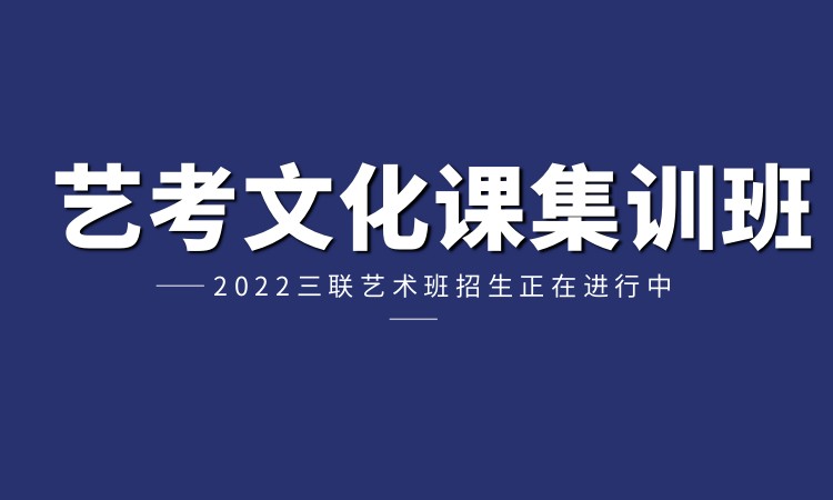 杭州艺术类文化课辅导学校