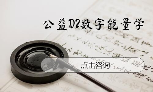 青島公益D2數(shù)字能量學(xué)