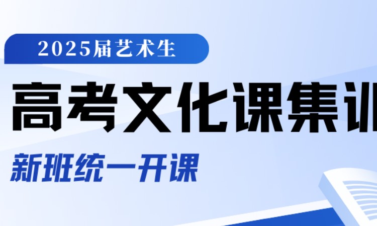 杭州2025届浙江美术生高考文化课培训班