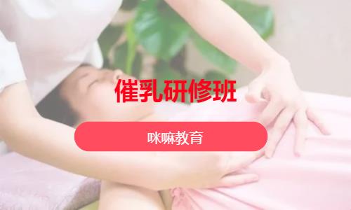 成都催乳研修班