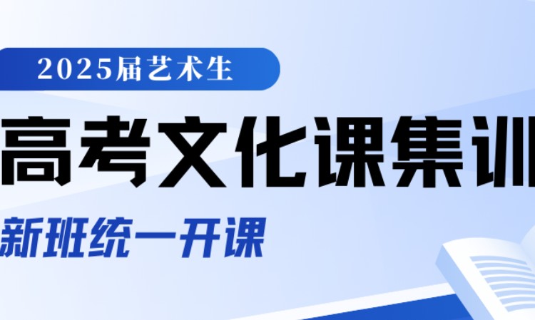 杭州浙江艺术生基础差专项文化课提升班