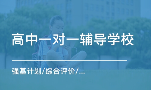 上海高中一对一辅导学校