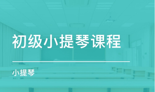 重庆初级小提琴课程