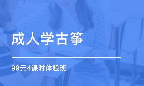 成都成人学古筝