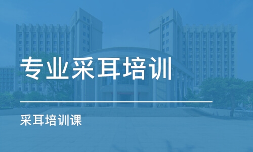 长沙专业采耳培训学校