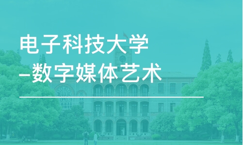 成都电子科技大学-数字媒体艺术-本科