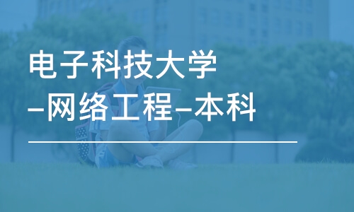 成都电子科技大学-网络工程-本科