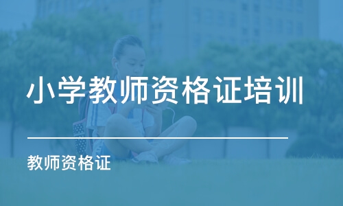 西安小学教师资格证培训班