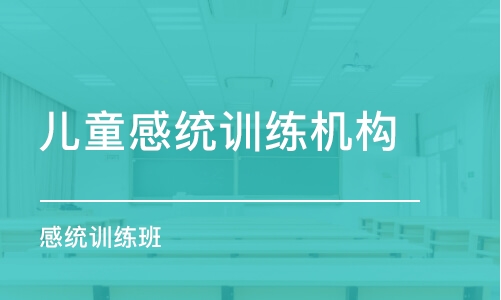 武汉儿童感统训练机构