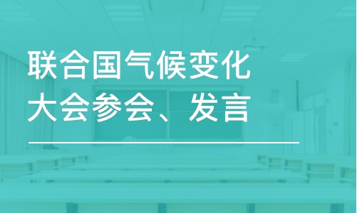 杭州联合国气候变化大会参会、发言项目