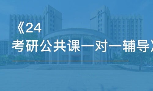 石家庄硕成·《24考研公共课一对一辅导》