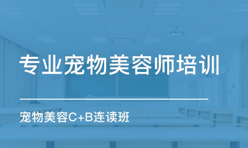 郑州专业宠物美容师培训中心