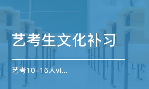 济南艺考生文化课补习学校