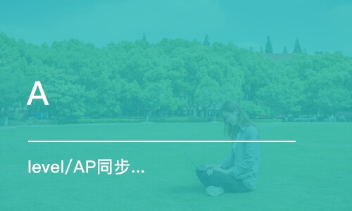 深圳A level/AP同步辅导课