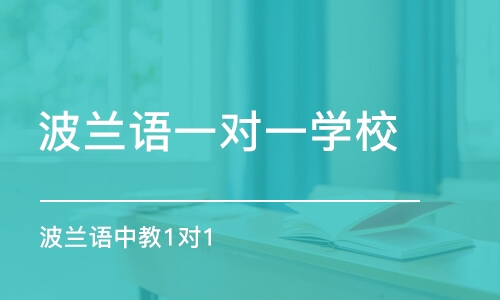 杭州波兰语一对一学校